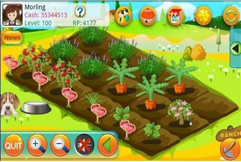 互联网农场种植游戏设计开发